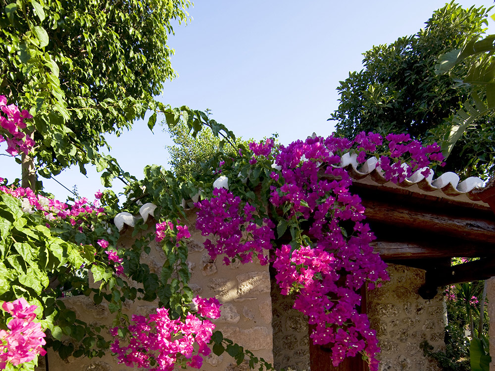 A Little Bit of Paradise, just a few hours from Athens!