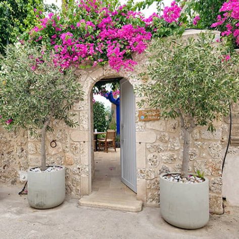 Thimaras Hotel Spetses